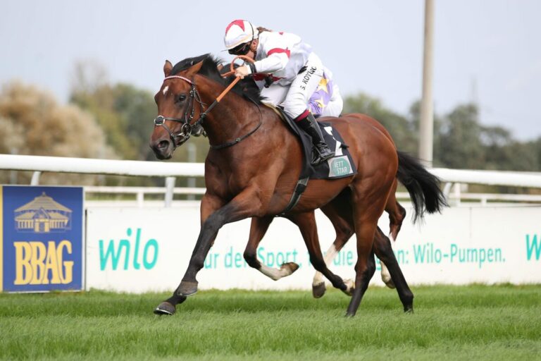 Thekingofmyheart bestätigt seine Listenform – Koyuncu und Hofer siegen