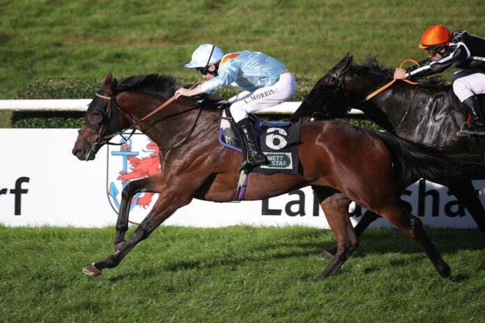 Brave Emperor siegt unter Luke Morris im Großen Preis der Landeshauptstadt Düsseldorf Brave Emperor siegt unter Luke Morris im Großen Preis der Landeshauptstadt Düsseldorf