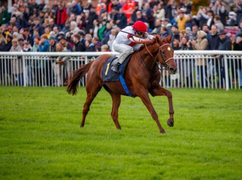 Nach Streichung: Noch neun Kandidaten für das Oleander-Rennen Lordano siegt unter Andrasch Starke im Silbernes Pferd