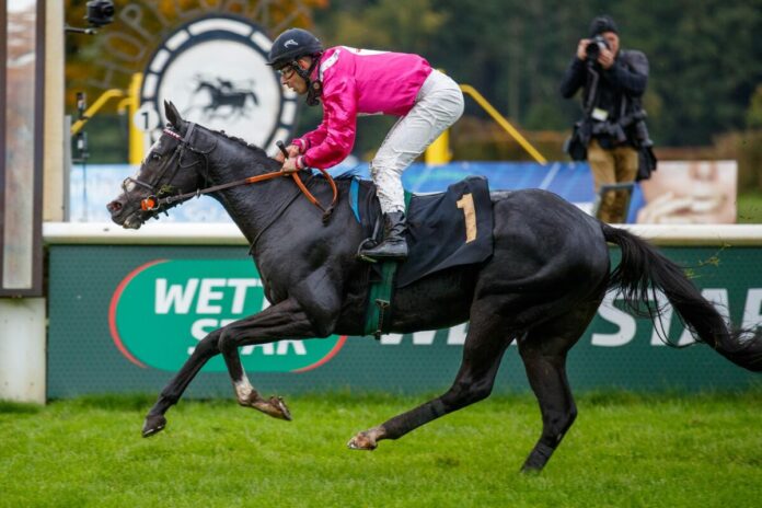 Matello siegt unter Martin Laube