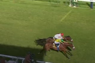 Auch für deutsche Herausforderer zu stark! Zarica mit Sieg Nummer elf