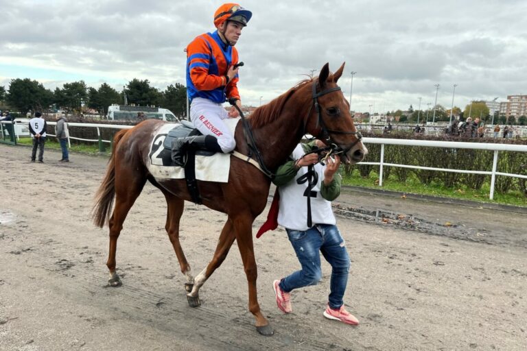 Skipper unter Hugo Besnier