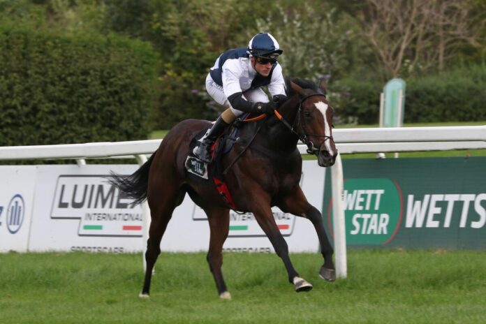 Snow Late siegt unter Martin Seidl