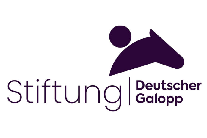 Stiftung DG_Logo_schwarz