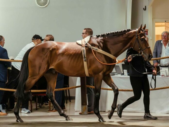 Winning Spirit