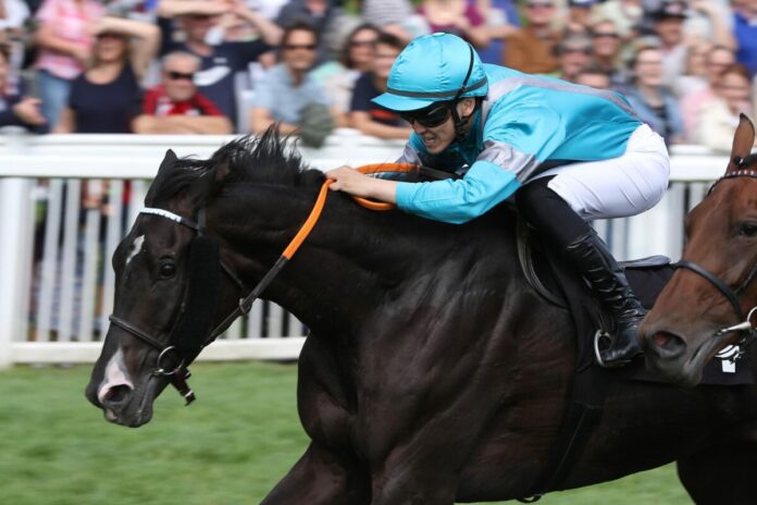 Alexei (Archiv) Alexei (Archiv)