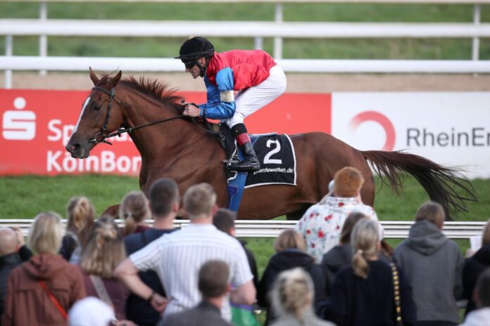 Northern Eagle Northern Eagle