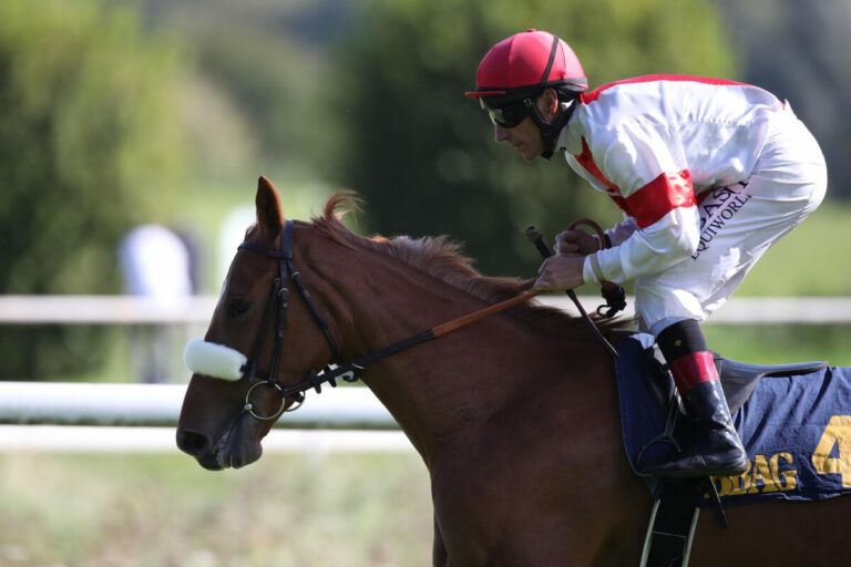 Wochenendauftakt in Dortmund – Auktionsrennen als Highlight am Samstag