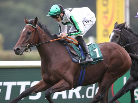 Immer wieder Dzubasz: Lokalmatador Va Bene gewinnt Top-Handicap Va Bene