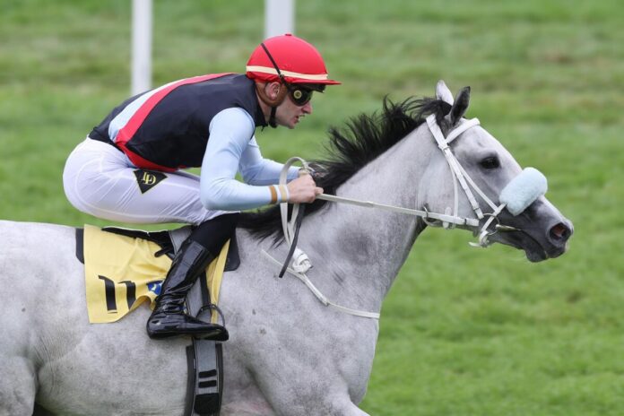 Three Havanas Three Havanas