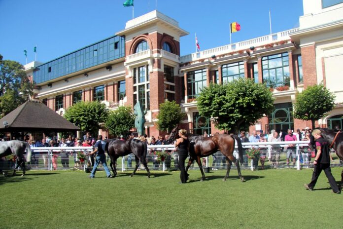 Der Absattelring auf der Rennbahn in Deauville