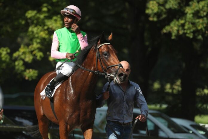 Ghorgan (Archiv) Ghorgan (Archiv)