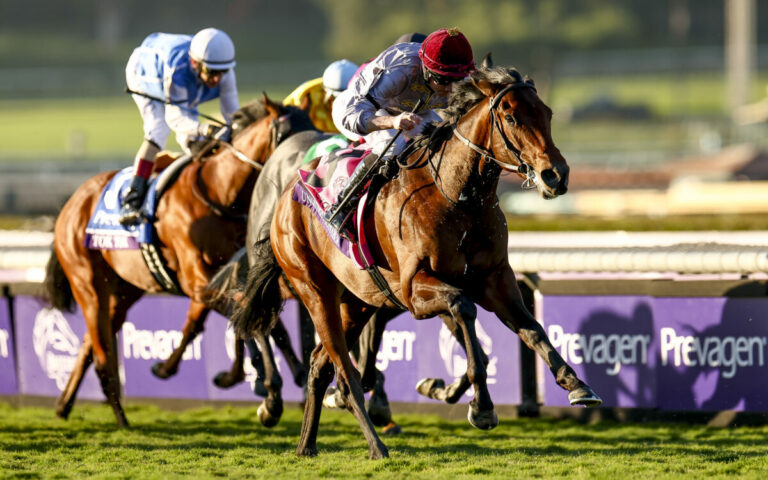 Nichtstarter? Egal! O‘Brien Eins-Zwei – Unquestionable schlägt Mountain Bear