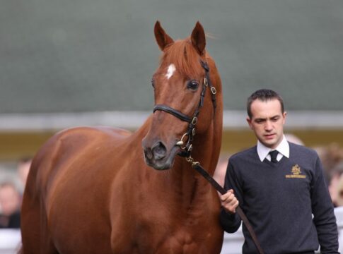 Isfahan ist der beste Nachkomme aus der Independent Miss