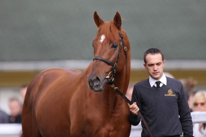Isfahan ist der beste Nachkomme aus der Independent Miss Isfahan ist der beste Nachkomme aus der Independent Miss