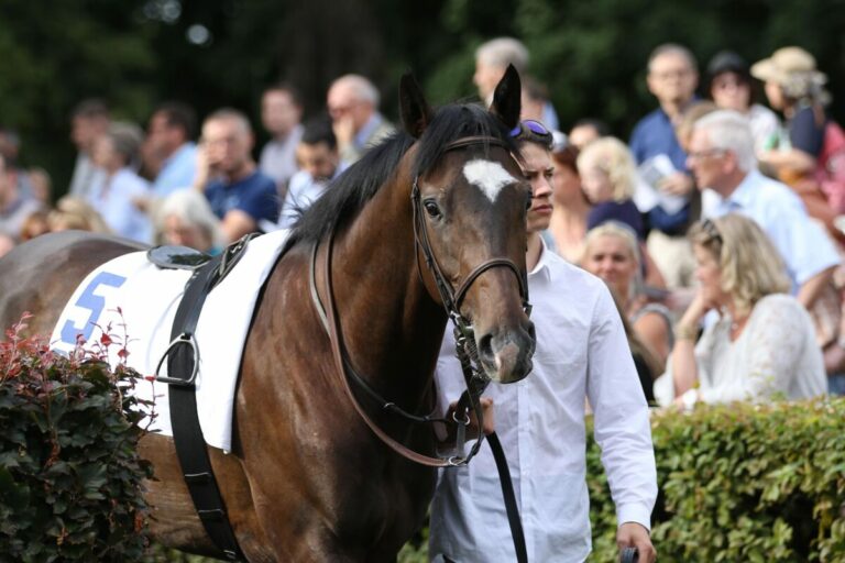Auenqueller Ivo mit drittem Listensieg über Hürden