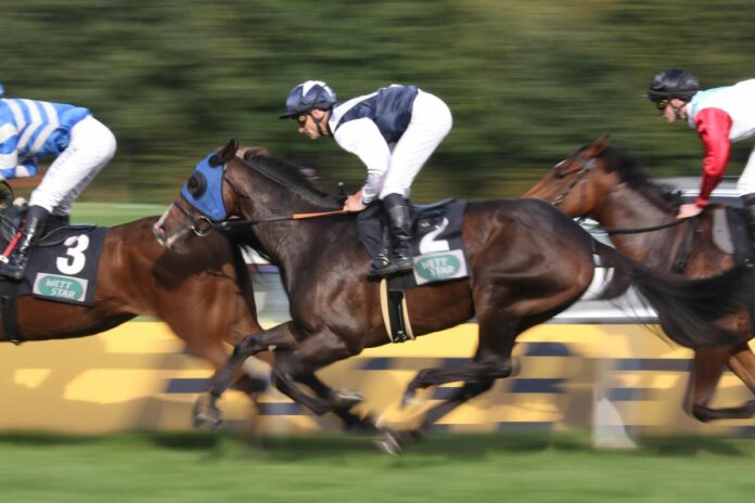 No More Bolero No More Bolero