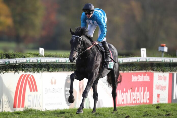 Serienmond siegt unter Rene Piechulek Serienmond siegt unter Rene Piechulek