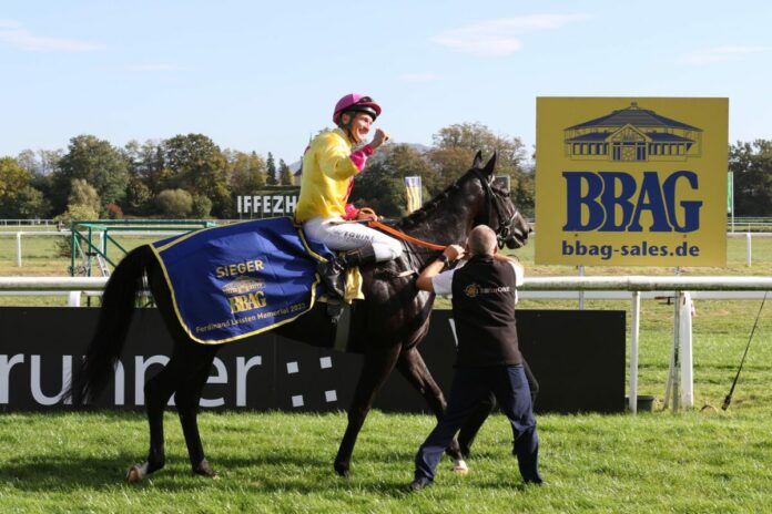 Wikinger (Archiv) Wikinger (Archiv)