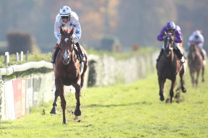 Wonderful Boy wurde für das Derby Trial genannt Wonderful Boy wurde für das Derby Trial genannt