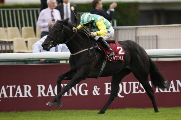 Wootton Bassett siegt im Prix Jean-Luc Lagadere Wootton Bassett siegt im Prix Jean-Luc Lagadere