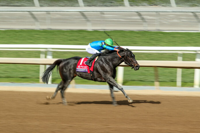 Goodnight Olive Foto: Bailey Ortiz/Eclipse Sportswire Goodnight Olive Foto: Bailey Ortiz/Eclipse Sportswire