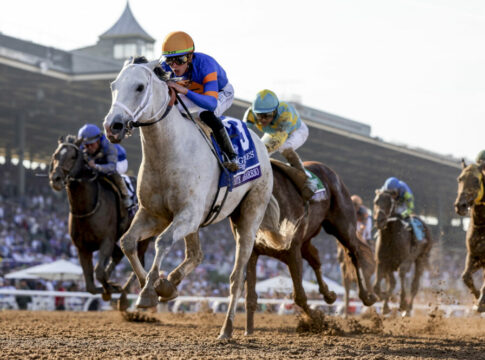 White Abarrio überlegen im Pegasus World Cup - Nations Pride enttäuscht White Abarrio (Foto: Alex Evers/Eclipse Sportswire) (Archiv)