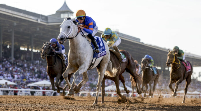 White Abarrio (Foto: Alex Evers/Eclipse Sportswire) (Archiv) White Abarrio (Foto: Alex Evers/Eclipse Sportswire) (Archiv)