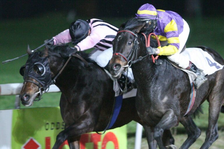 Schon zwei Mal: Totes Rennen auf der Dortmunder Sandbahn