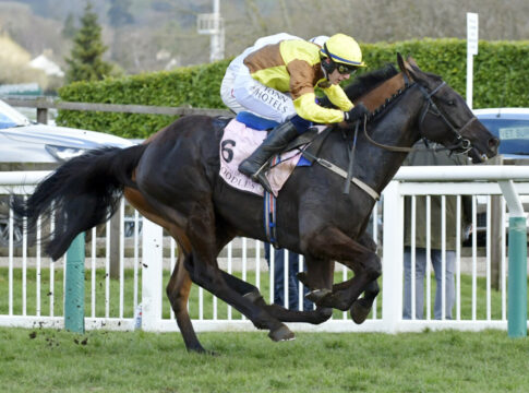 Galopin des Champs (Archiv) Foto: Sorge