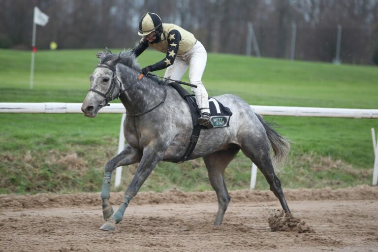 Gernreichs Stallausflug wird doch noch belohnt – Aradous locker voraus