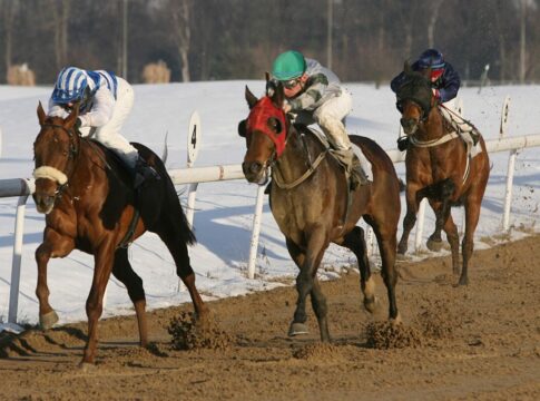 Dortmund am 29.12.: Neues Rennen ausgeschrieben und eine Skala-Änderung Totes Rennen zwischen Aleo unter Henk Grewe und Zen unter Am. Frau K. Schmitt