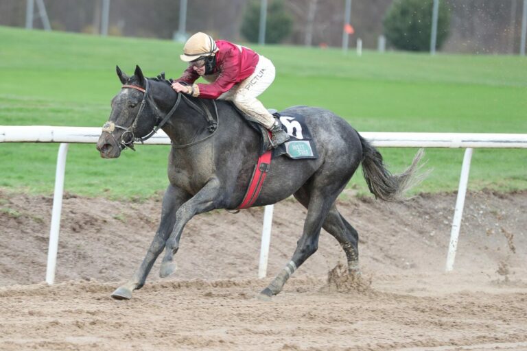 Für Weißmeier läuft es weiter gut  – El Royale in der Viererwette überlegen