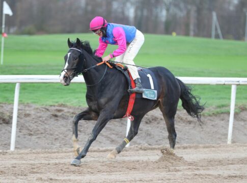 Nach Streichung: Noch 13 Pferde im Großen Preis von St. Moritz Woody Wood