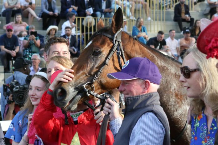 Highfield Princess