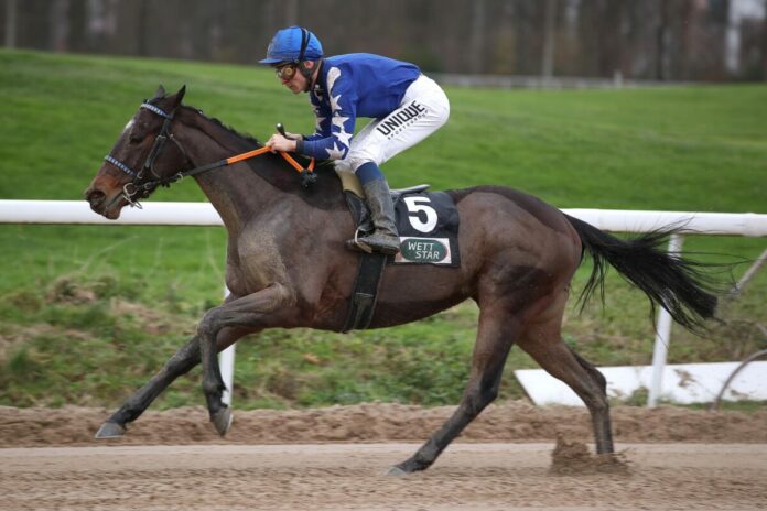 Jazzagal siegt unter Thore Hammer-Hansen