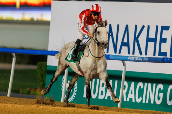 RB Rich Lyke Me unter Adrie de Vries Foto: Dubai Racing Club