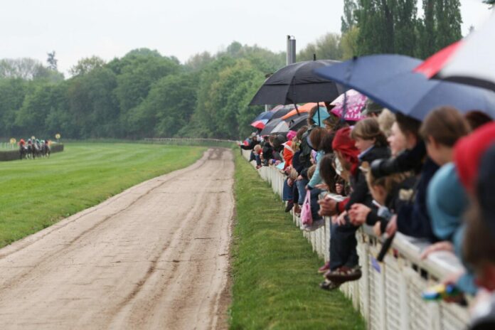 Galopp in Mlheim