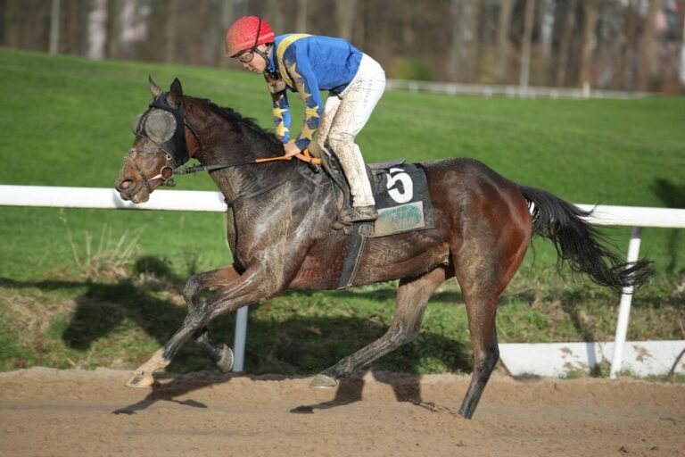 Stay First beendet Ganbats lange Durststrecke – Erster Sieg nach 140 Tagen