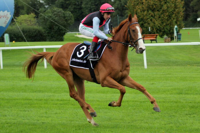 Muenchen, Party Playboy mit Marco Casamento beim Aufgalopp