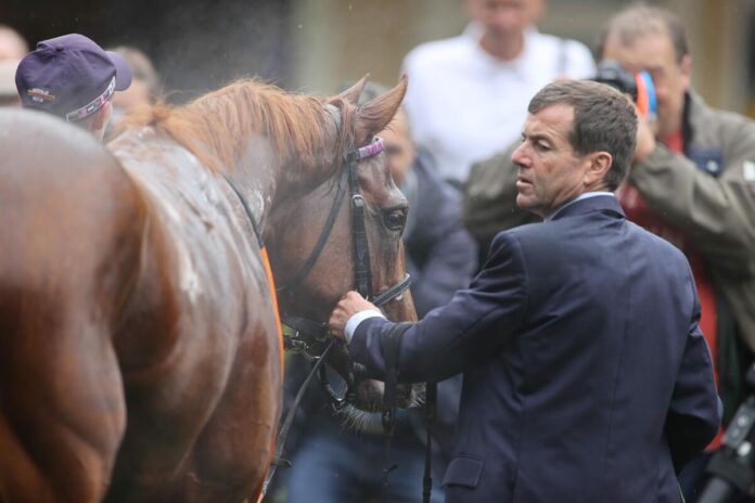 Nasomo siegt unter B. Murzabayev