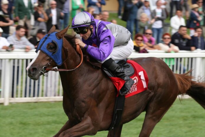 Nachtgeist siegt unter Rene Piechulek