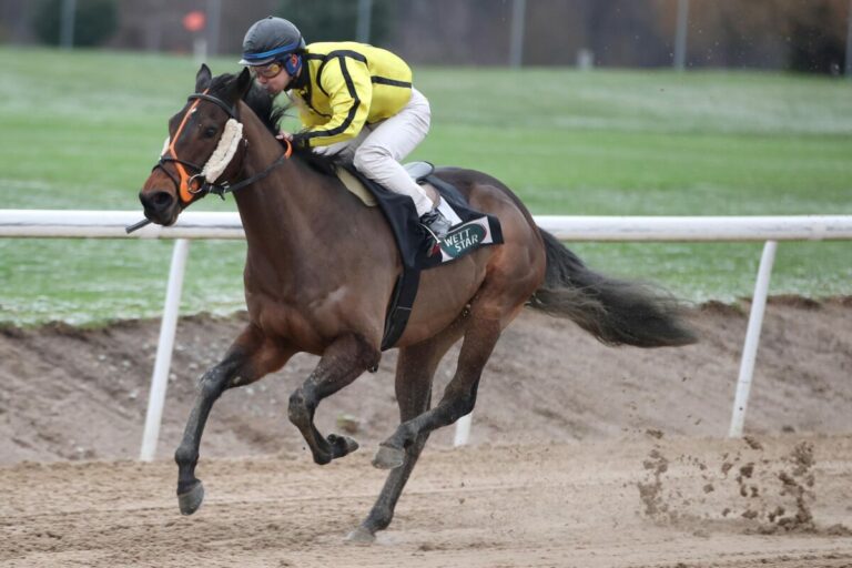 Weißmeiers Wonderful World gewinnt Mini-Viererwette