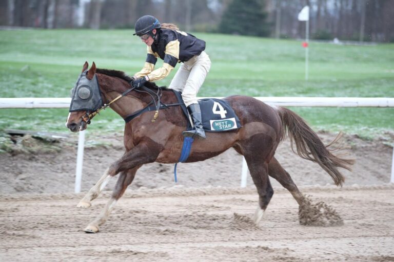Bradiks Aladar Ari ist im wichtigsten Handicap nicht zu schlagen