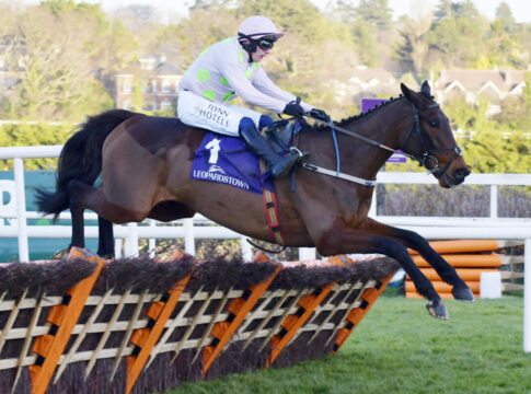 Furioser Auftakt! Mullins-Hattrick in Aintree durch BBAG-Kauf Gaelic Warrior Gaelic Warrior unter Paul Townend (Archiv) Foto: Sorge