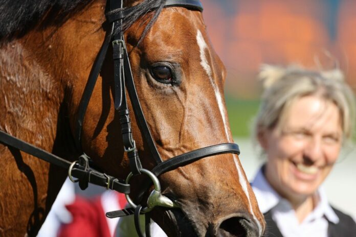 Loft (Archiv) Loft (Archiv)