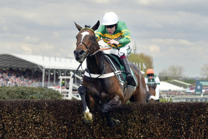 Jonbon Foto: Sorge Jonbon Foto: Sorge