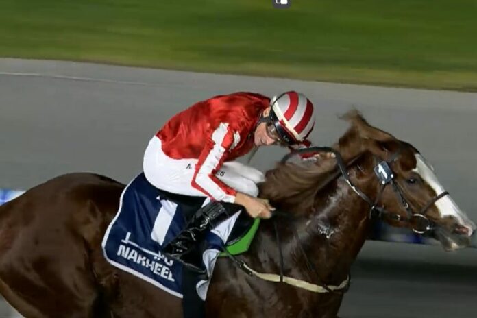 Military Artist de Vries