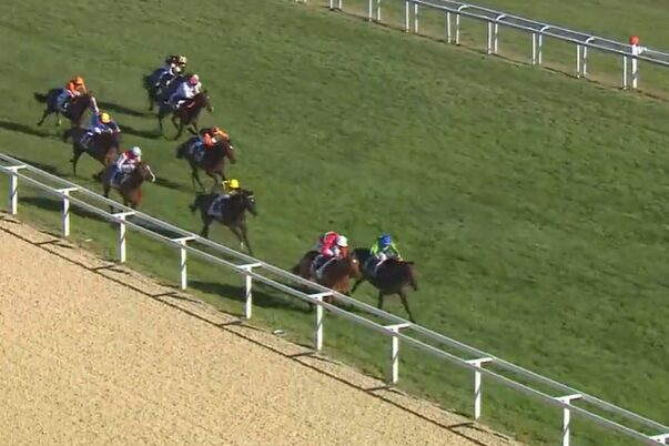 Platz drei für Fährhof-Franzosen Idamante beim Pantall-Debüt