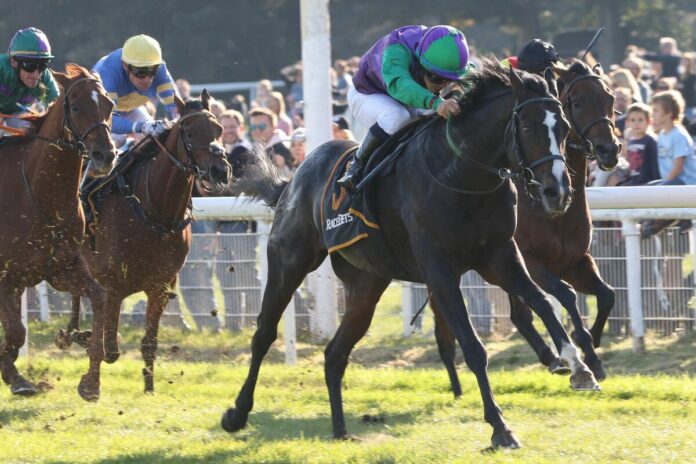 Sean (Archiv) Sean (Archiv)